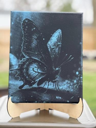 butterfly