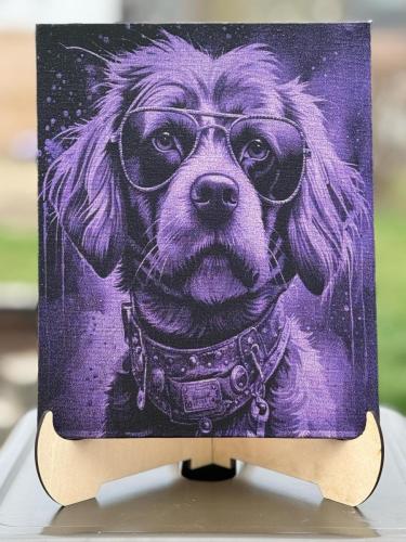 cooldog