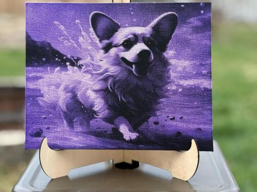 corgi