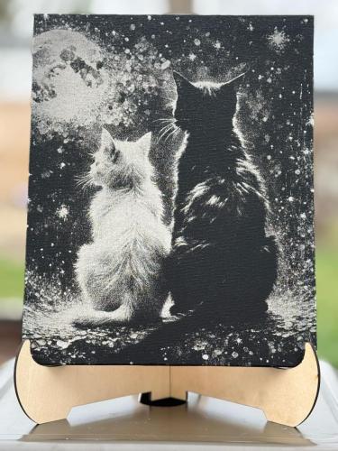 twocats